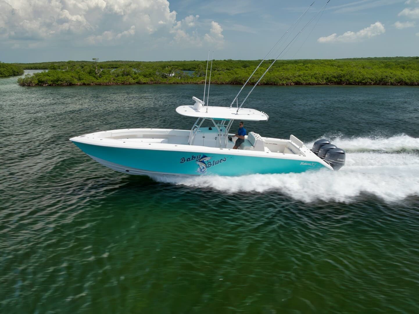 Baby Blues — 2013 · 37' · Pre-Owned