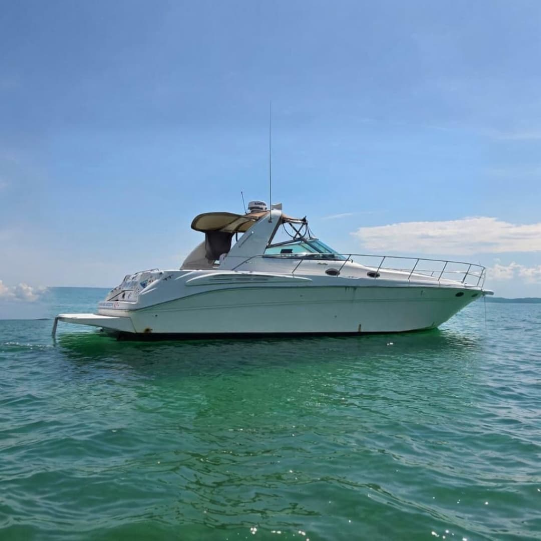 Party Time — 1998 · 41' · Pre-Owned