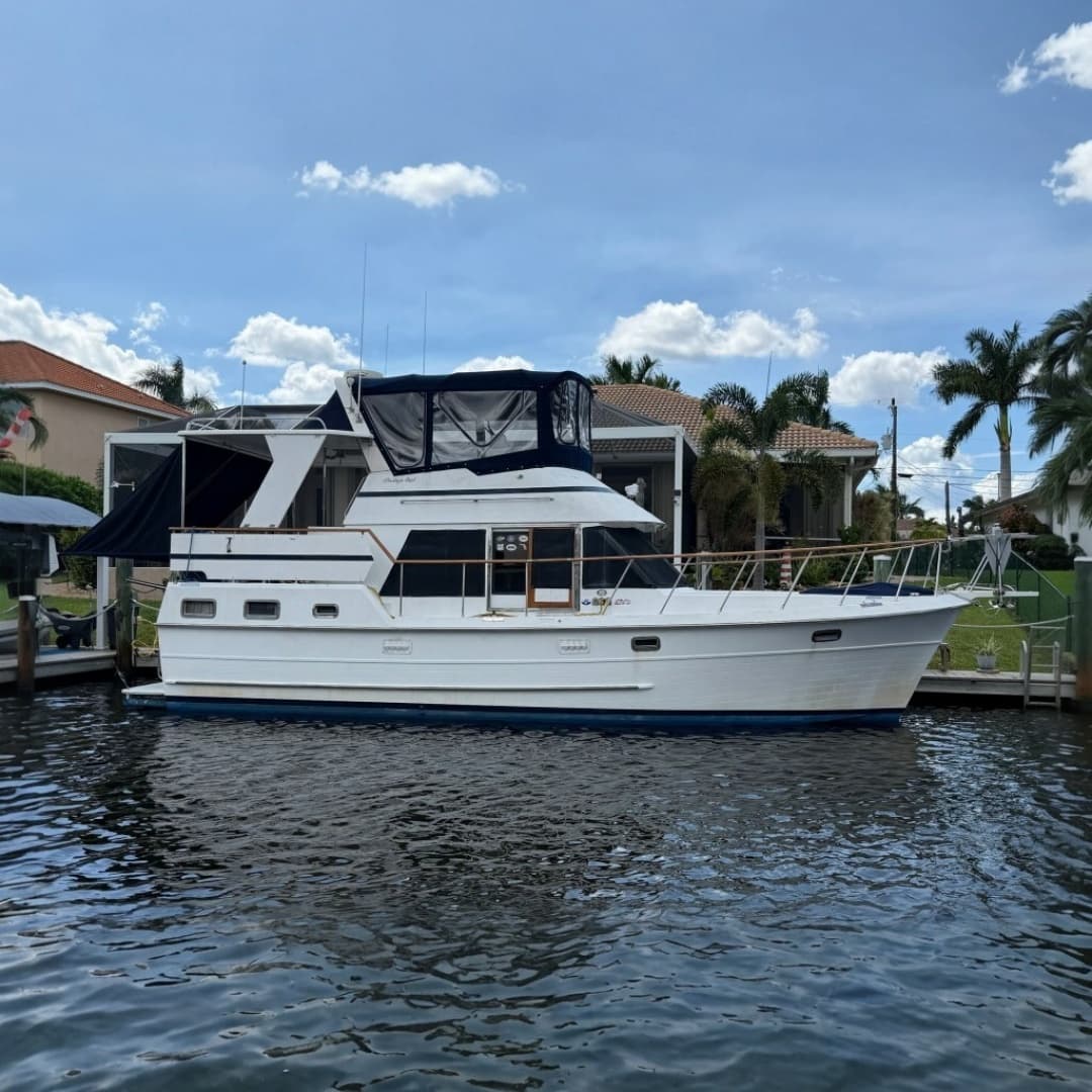 Ark Angel — 1998 · 41' · Pre-Owned