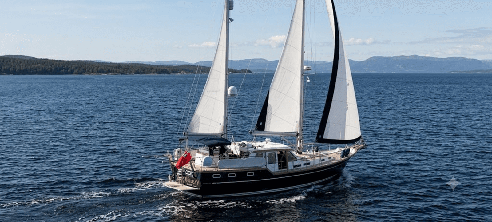 BLUESY — 2017 · 51.15' · 2 Cabins · Pre-Owned