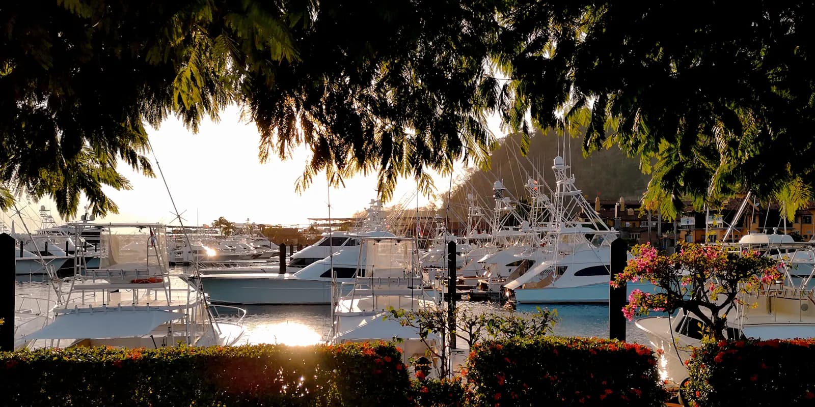 Sportfishing yachts moored at a marina at golden hour