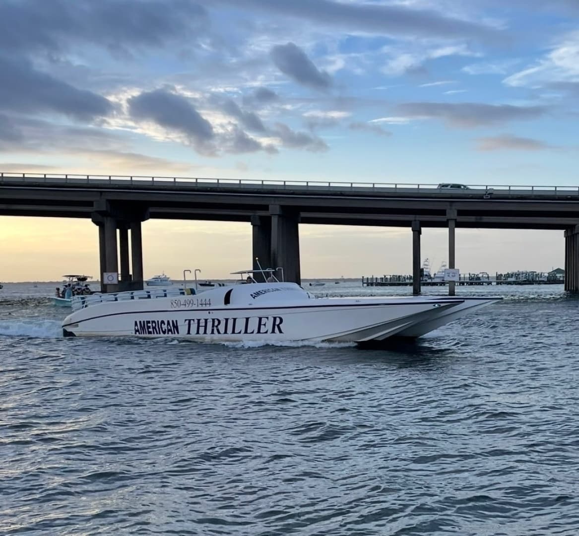 Thriller — 2007 · 55' · Pre-Owned