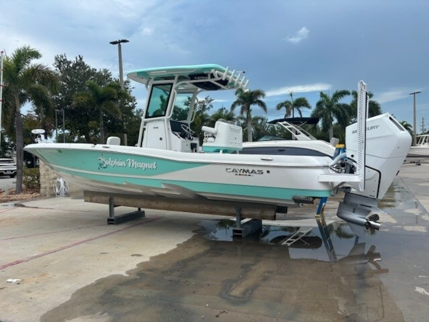 Dolphin Magnet — 2025 · 27' · Pre-Owned